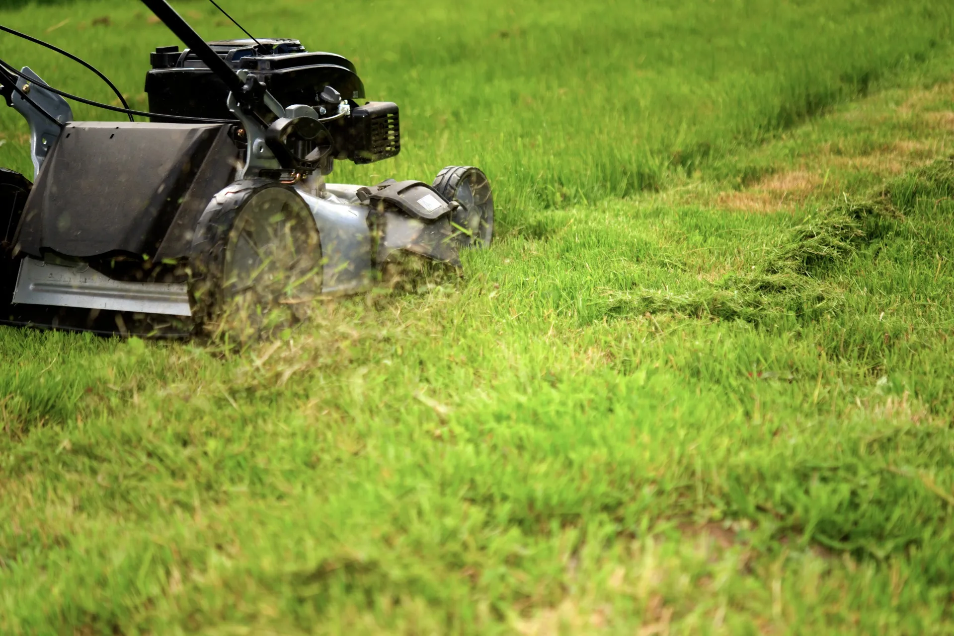 グリーンハンズ