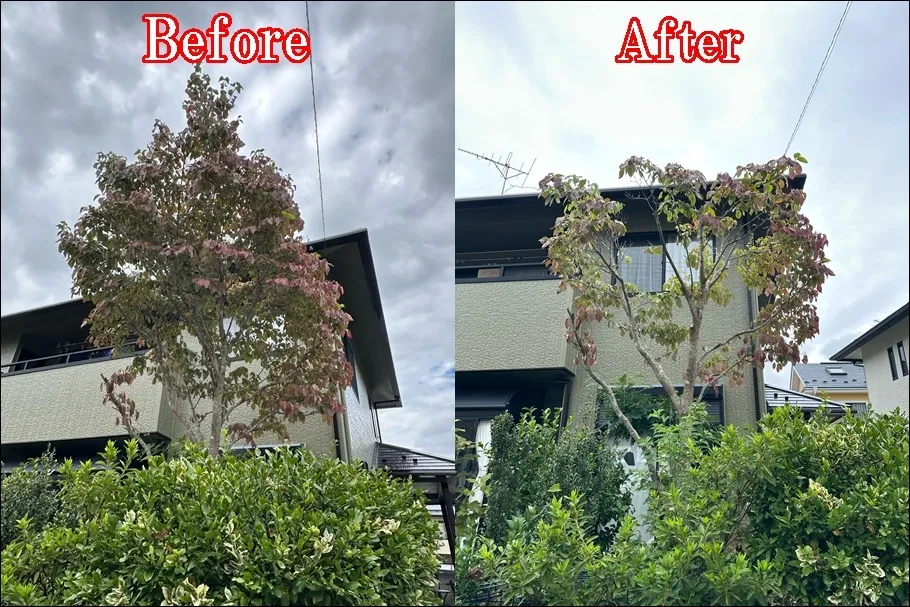 お庭も室内もすっきり!便利屋の“一日二役”マルチタスク仕事術