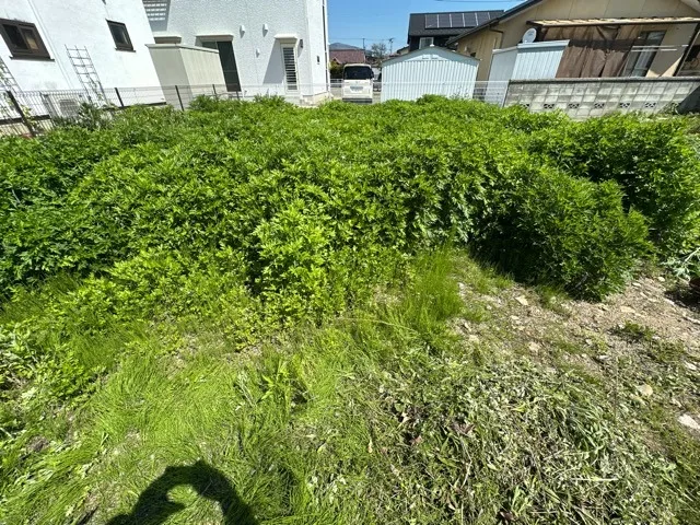 遠方のお客様より定期的な草刈りを実施しています