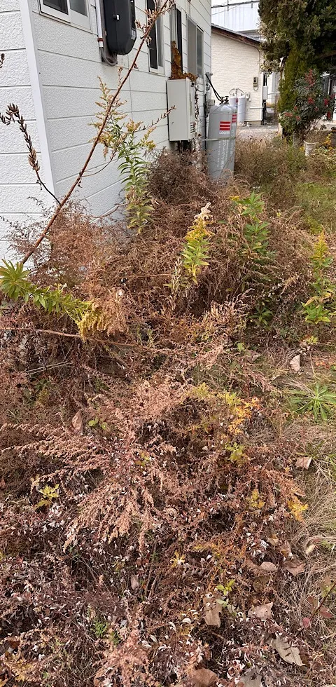 12月のお客様　お庭の草刈り