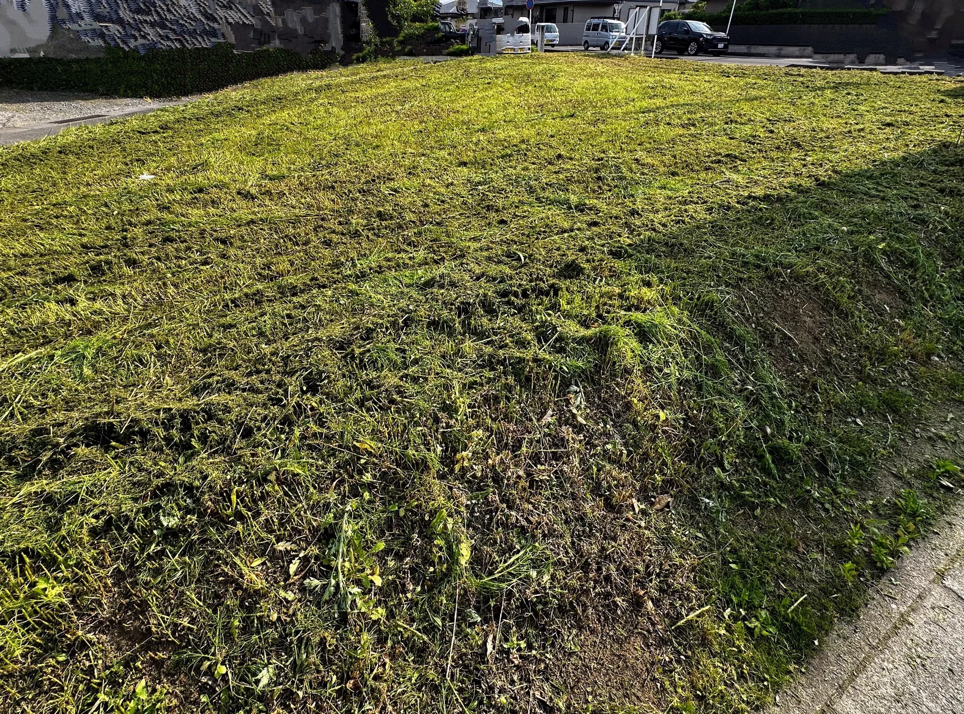 福島市で草刈りを通じてコミュニティ活動に参加し地域の未来を築く方法