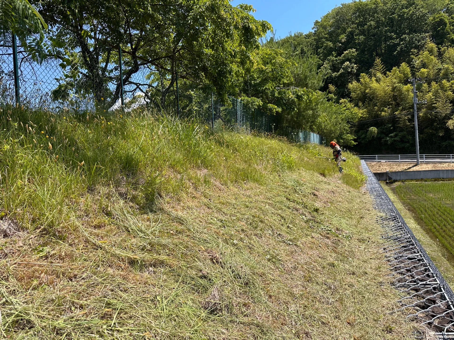 法面の草刈り